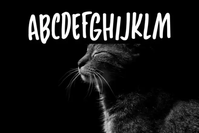 SunnyWeatherDEMO-Regular Font examples