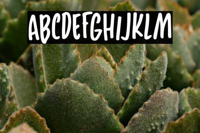 SunnyWeatherDEMO-Regular Example 2