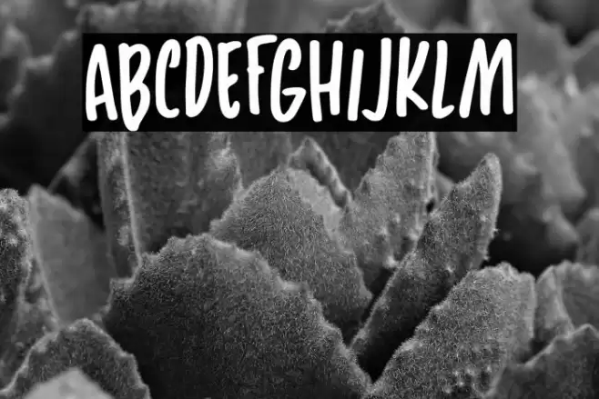 SunnyWeatherDEMO-Regular Font examples