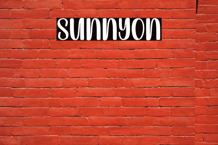 Sunny Example 1