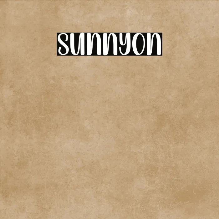 Sunny Example 2