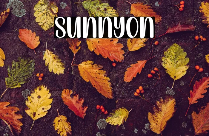 Sunny Example 3