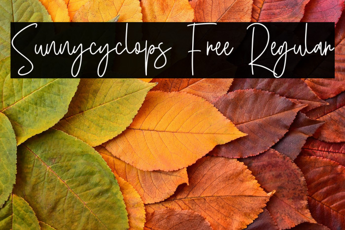 Sunnycyclops Free Regular Example 1