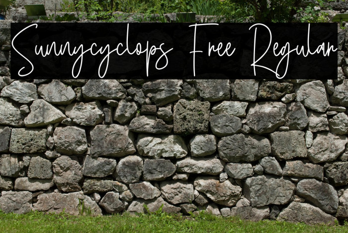 Sunnycyclops Free Regular Example 3