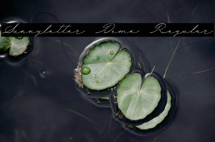 Sunnyletter Demo Regular Example 2