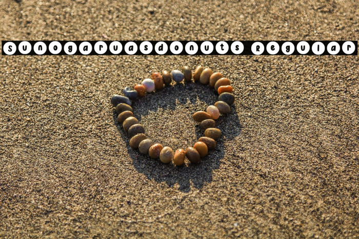 Sunogaru_asdonuts Regular Example 3