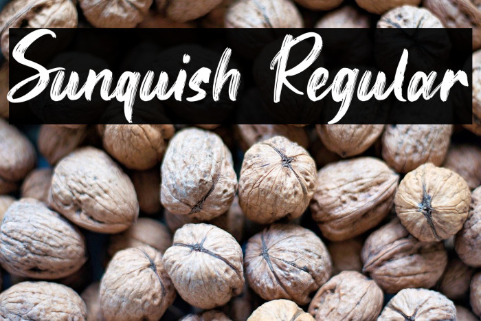 Sunquish Regular Example 1