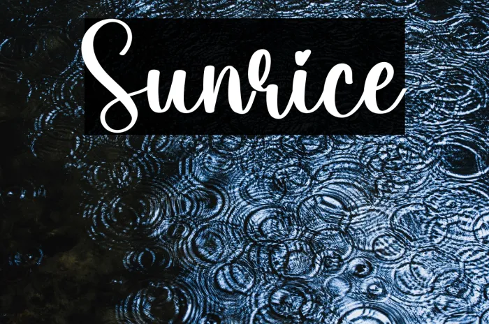 Sunrice Example 1