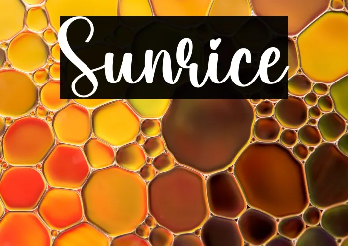 Sunrice Example 2