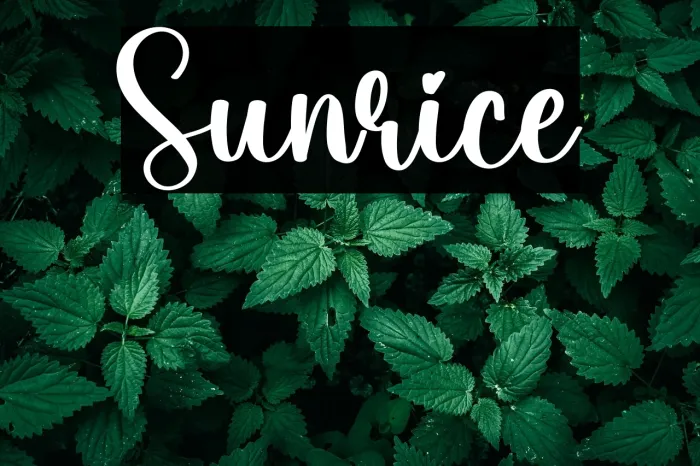 Sunrice Example 3
