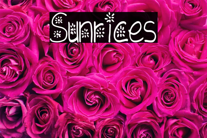 Sunrices Font examples