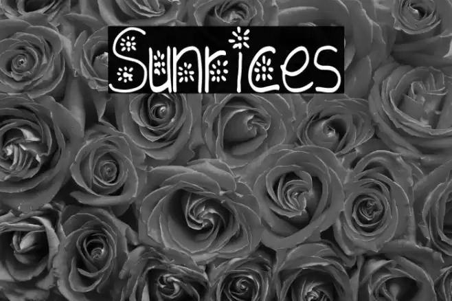 Sunrices Font examples