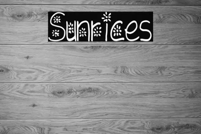 Sunrices Font examples