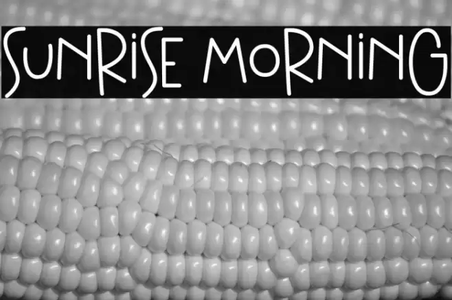 Sunrise Morning Font examples