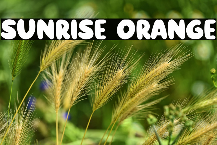 Sunrise Orange Example 1