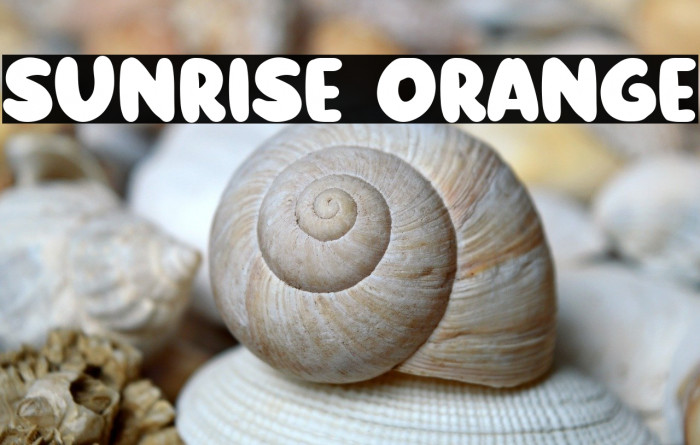 Sunrise Orange Example 2