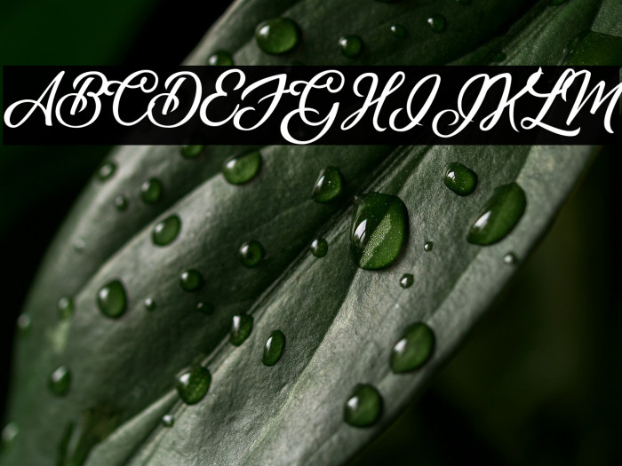 Sunrise Place Example 1