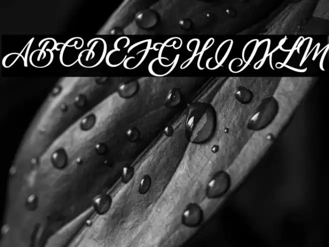 Sunrise Place Font examples