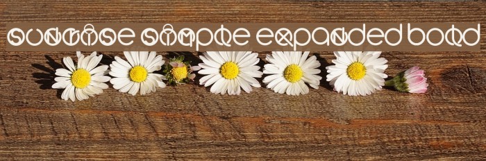 Sunrise Simple Expanded Bold Font examples