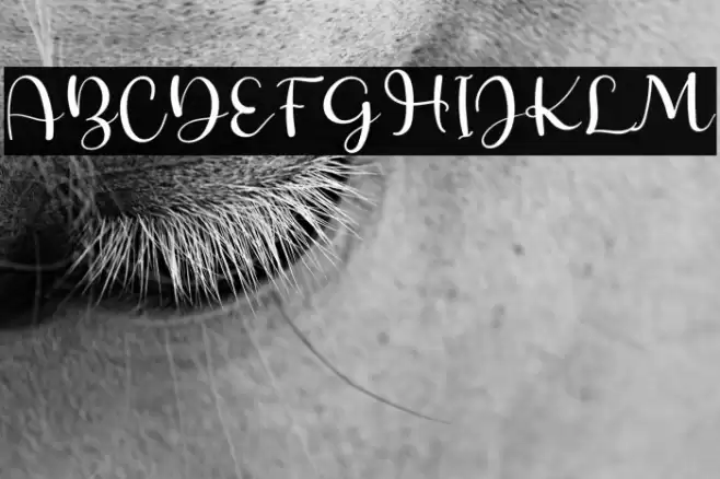 Sunrise Font examples