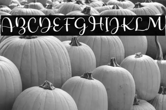 Sunrise Font examples