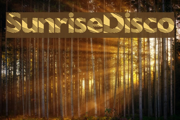 SunriseDisco Font examples