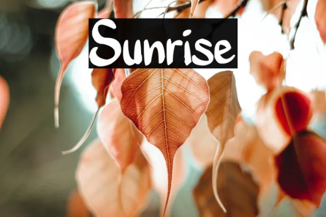 Sunrise Example 3
