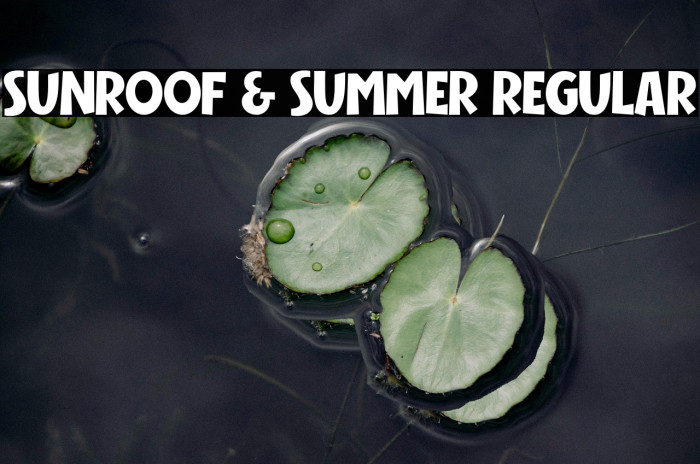 Sunroof & Summer Regular Example 2