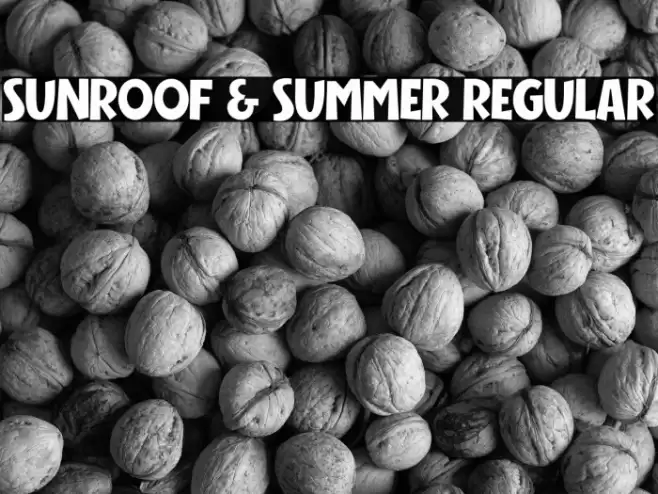 Sunroof & Summer Regular Font examples