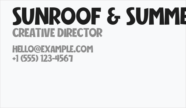 Sunroof & Summer Regular Business Card