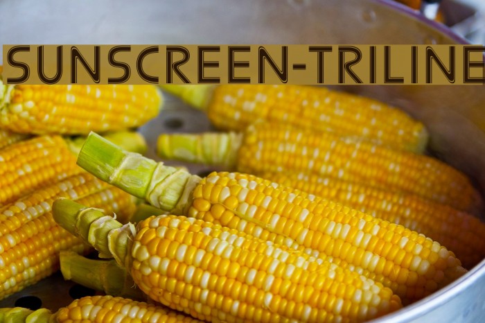 Sunscreen-Triline Font examples