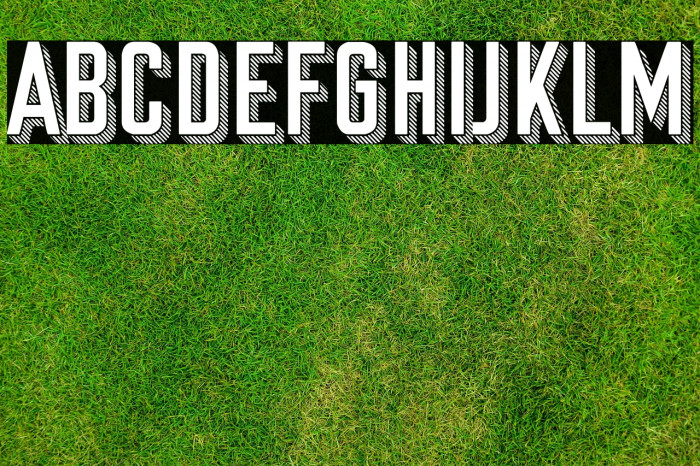 Sunset Boulevard Example 2