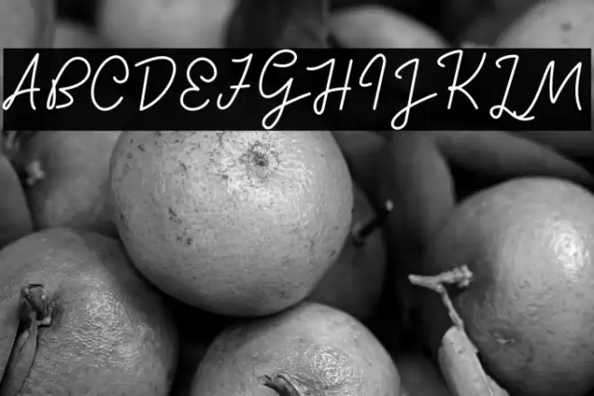 Sunset City Font examples