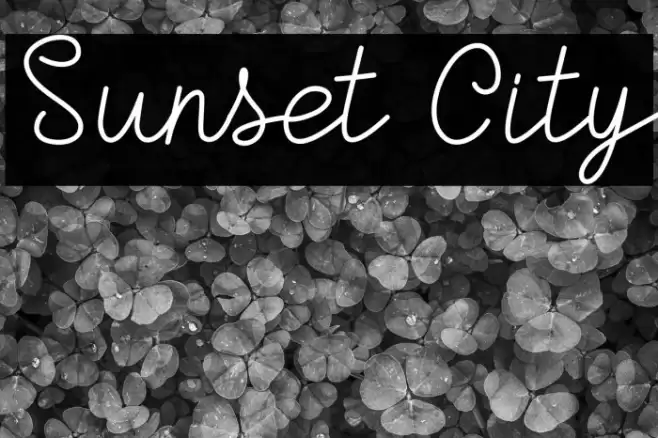Sunset City Font examples