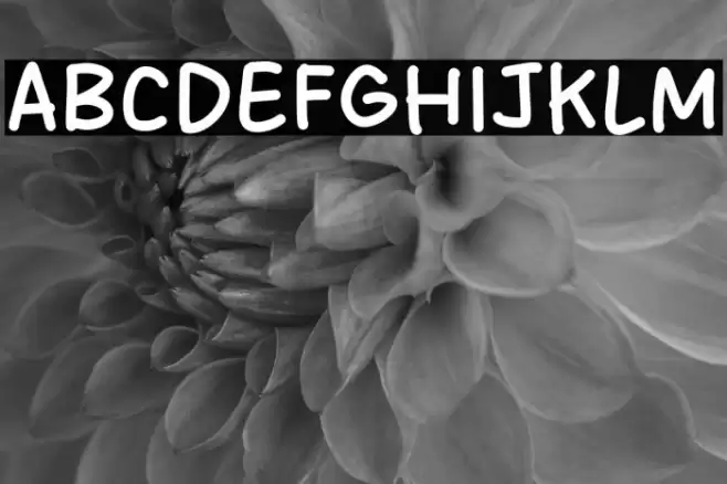 Sunset Friday Font examples