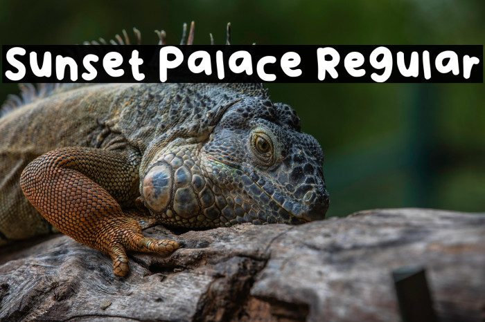 Sunset Palace Regular Example 3