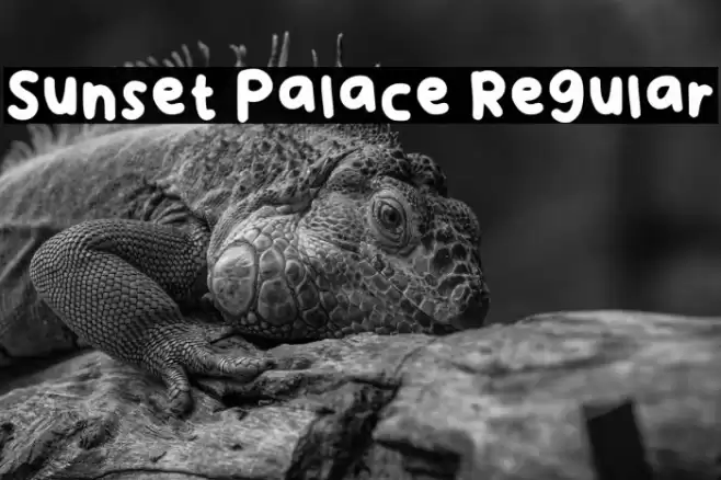 Sunset Palace Regular Font examples