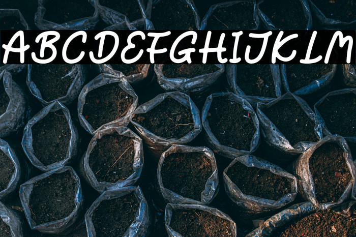 Sunset Trip Example 2