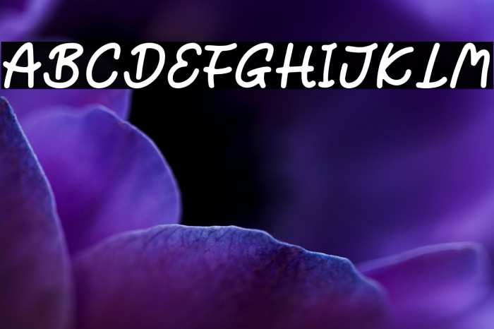 Sunset Trip Example 3