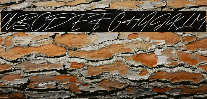 Sunset Trips Signature Free Example 1