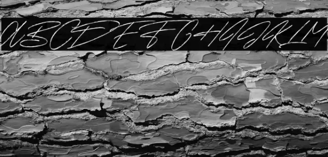 Sunset Trips Signature Free Font examples