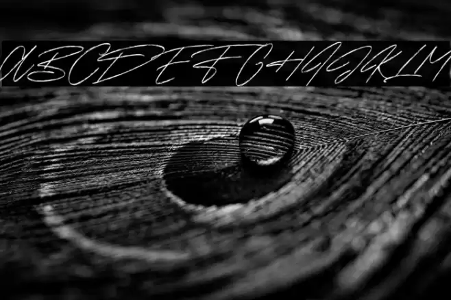 Sunset Trips Signature Free Font examples