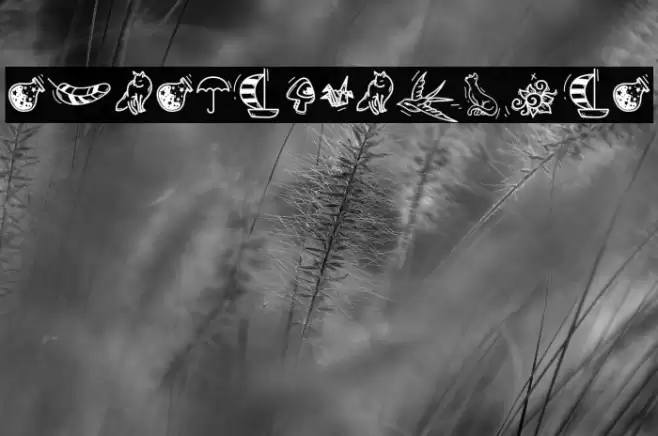 SunsetDingbats Font examples