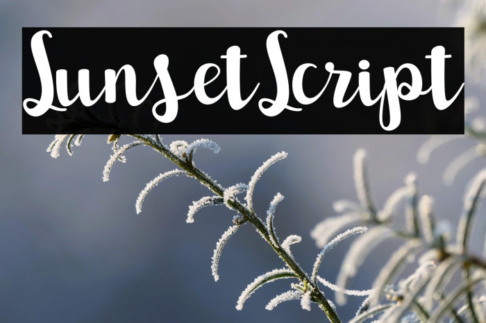 SunsetScript Example 1