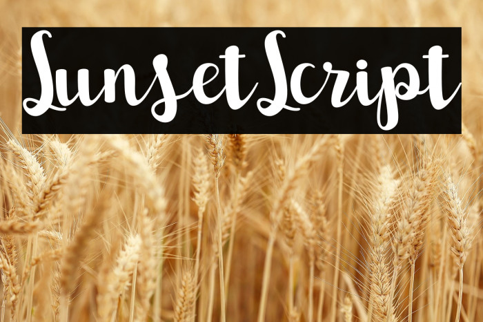 SunsetScript Example 2