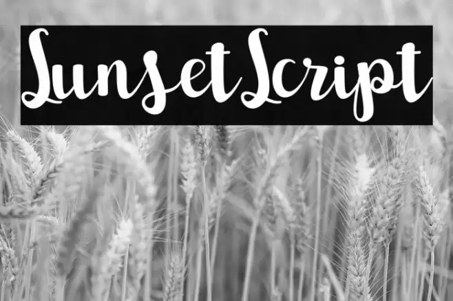 SunsetScript Font examples