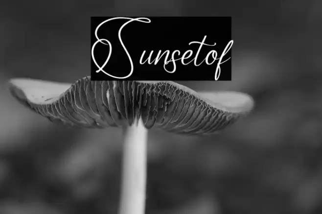 Sunsetof خط examples