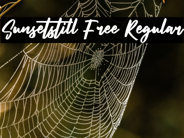 Sunsetstill Free Regular Example 2