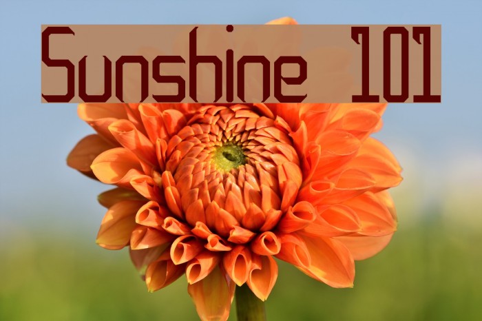 Sunshine 101 Font examples