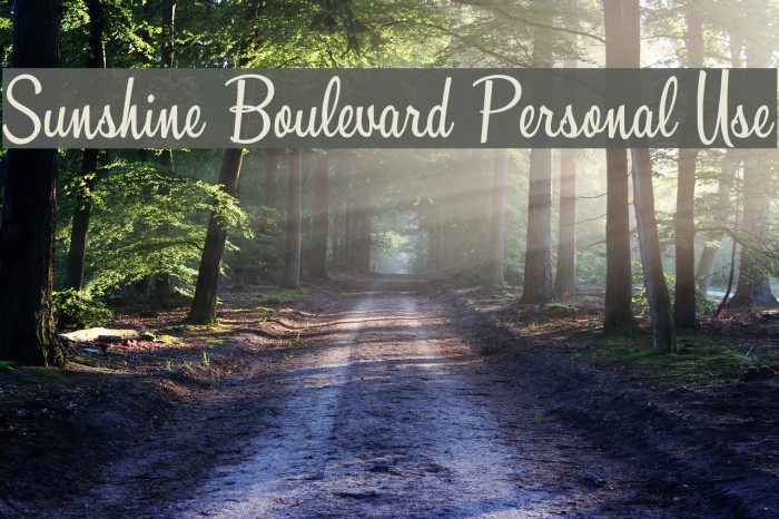 Sunshine Boulevard Personal Use Font examples